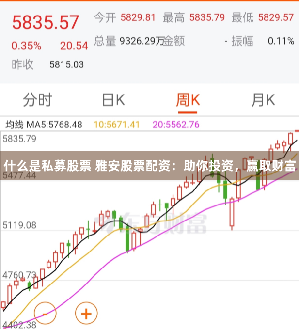 什么是私募股票 雅安股票配资：助你投资，赢取财富